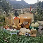Dispenza Collesano