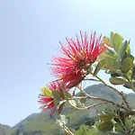 Appartamento Dispenza Collesano