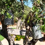 Dispenza Appartamento Collesano