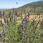 Dispenza * Collesano